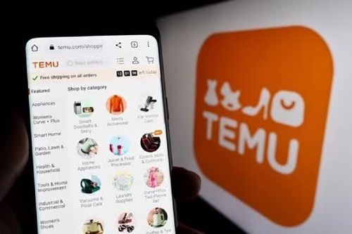 Temu tạm dừng cung cấp dịch vụ thương mại điện tử tại Việt Nam