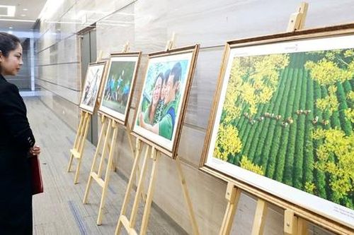 34 tác phẩm đoạt giải cuộc thi ảnh, video 'Happy Vietnam năm 2024'