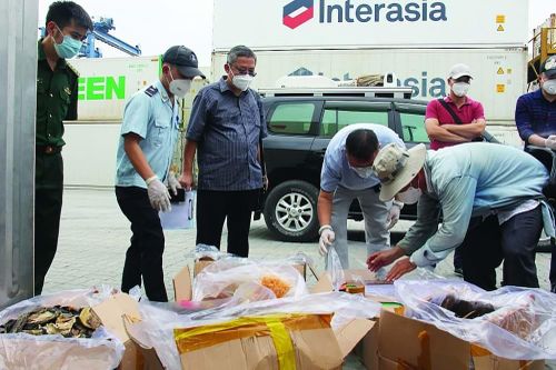 Buôn lậu động vật hoang dã, một giám đốc bị phạt tù 24 năm
