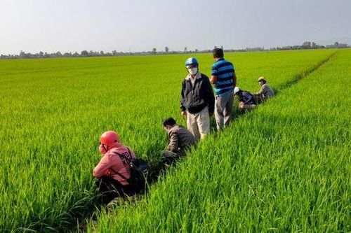 Châu Phú quyết tâm thực hiện thắng lợi nhiệm vụ chính trị