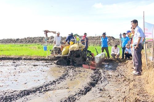 Phát huy tiềm năng kinh tế nông nghiệp
