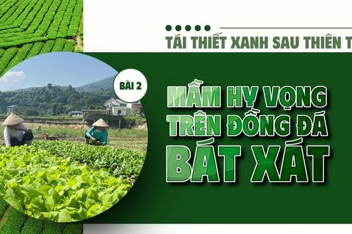 Bài 2: Mầm hy vọng trên đồng đất Bát Xát