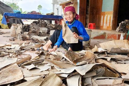 'Lá chuối cũng là tiền'