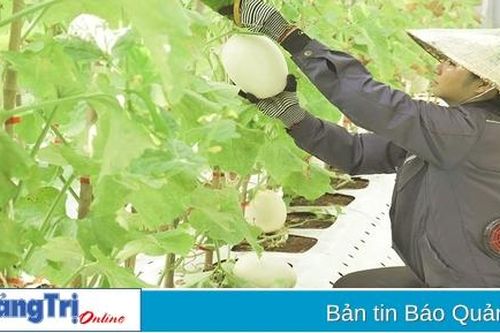Tập trung xây dựng sản phẩm du lịch nông thôn mang đặc trưng vùng, miền