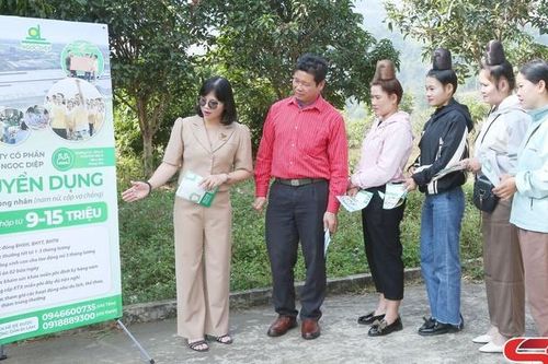 Tư vấn, kết nối việc làm cho người lao động