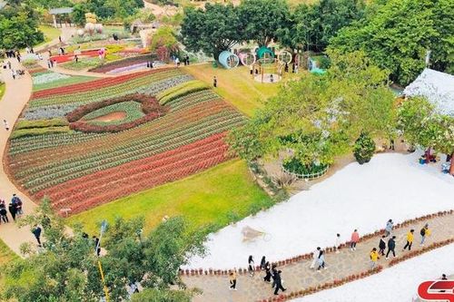 Sôi động du lịch Mộc Châu dịp cuối năm