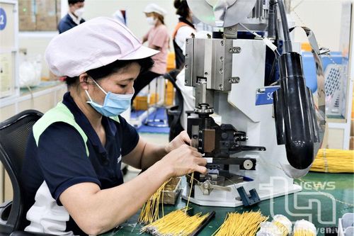 Hợp tác hỗ trợ đào tạo nghề cho người lao động