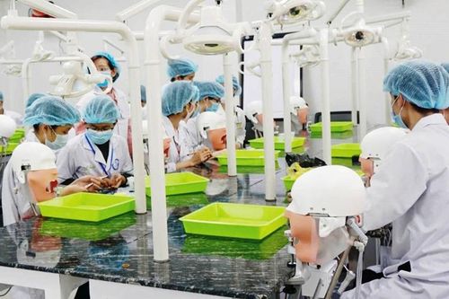 'Trường - Viện' và yêu cầu nguồn nhân lực chất lượng cao - Kỳ 2: Hướng đến tầm khu vực Đông Nam Á