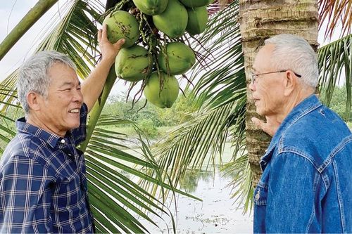 'Quả ngọt' từ trảng cát