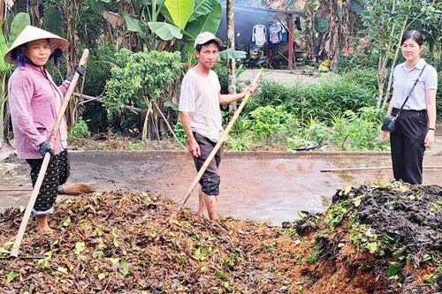 Biến bã tràm thành phân hữu cơ