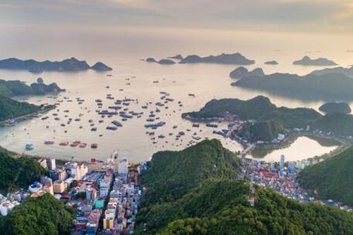 Viện trưởng Viện Nghiên cứu Phát triển Du lịch: Nhà đầu tư lớn sẽ định hình du lịch Cát Bà