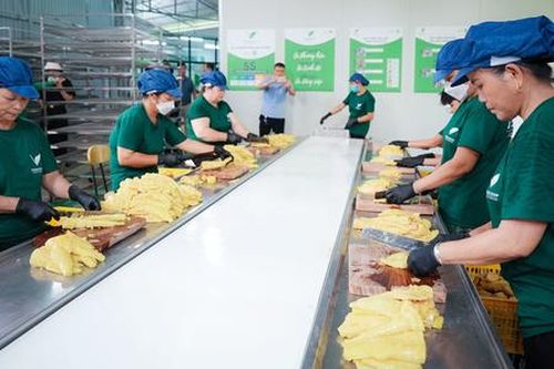 Thêm động lực để HTX tăng tốc sản xuất kinh doanh dịp cuối năm