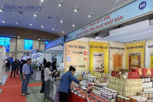 Nhiều doanh nghiệp quốc tế đến Medipharm Expo 2024 tìm đối tác
