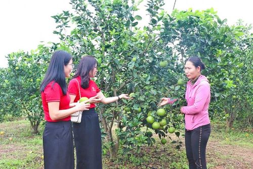 Vốn ngân hàng góp sức để Triệu Phong 'thay áo mới'