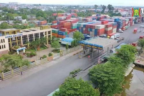 Xuất khẩu dự báo vượt mốc 400 triệu USD