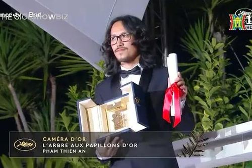 'Bên trong vỏ kén vàng' nhận hai đề cử giải tiền Oscar