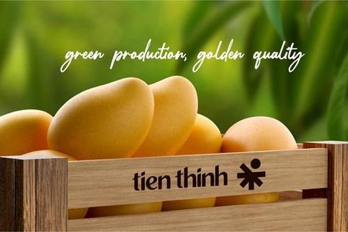 Tập đoàn Tiến Thịnh (TT6) muốn huy động hơn 51 tỷ đồng để trả nợ