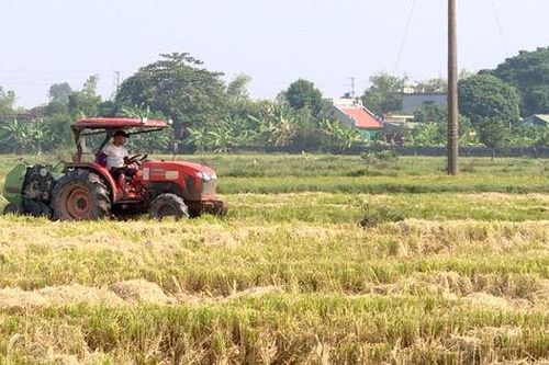Thái Bình: Sử dụng hiệu quả phế phụ phẩm nông nghiệp trong sản xuất