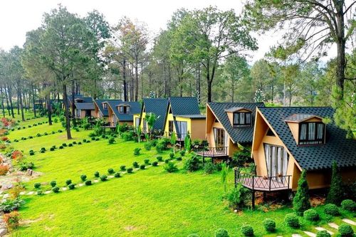 Trải nghiệm du lịch rừng thông Bản Áng