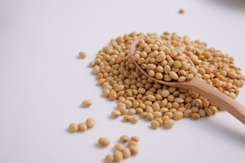 Đậu tương chữa bệnh gì?