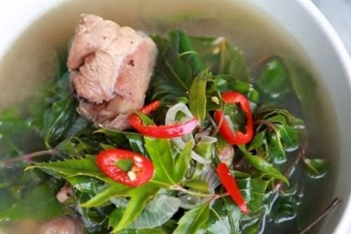 3 món ăn ngon từ lá đinh lăng rất dễ làm