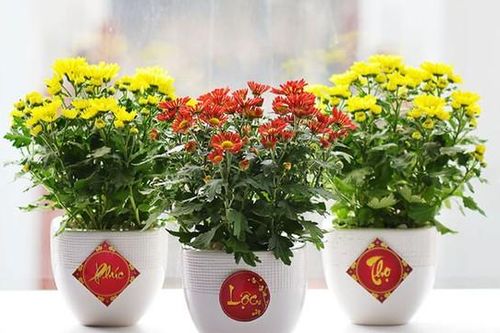Mẹo trang trí nhà cửa đón Tết 2025 đơn giản mà cực đẹp, thu hút tài lộc