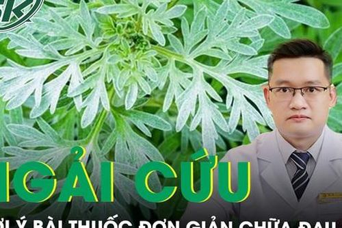 Gợi ý bài thuốc đơn giản với lá ngải cứu để chữa đau đầu