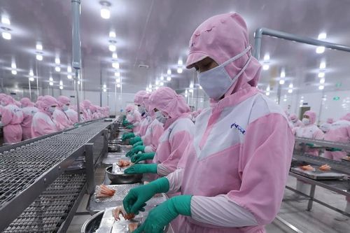 Thúc đẩy tiềm năng xuất khẩu thủy sản