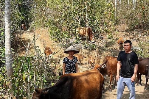 Những thay đổi tích cực trong đồng bào dân tộc thiểu số