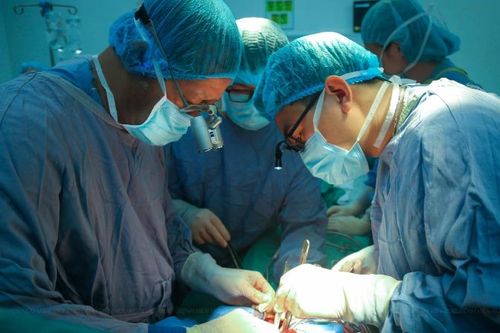 Bệnh viện Hữu nghị Việt Đức - đơn vị đi đầu trong lĩnh vực ghép tạng