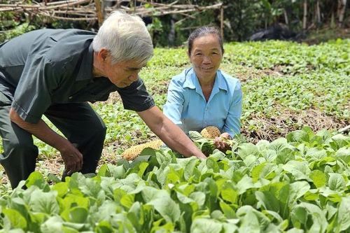Long An tập trung hiện thực hóa mục tiêu giảm nghèo bền vững
