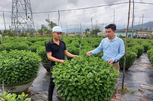 Làng hoa Vân Dương: Còn đó những trăn trở