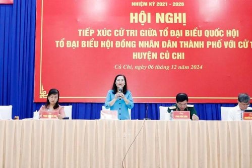 Đồng chí Nguyễn Thị Lệ: Giám sát việc giải quyết các dự án tồn đọng trên địa bàn TPHCM
