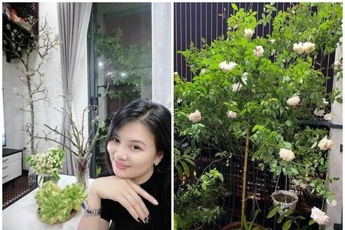 Căn nhà rực rỡ sắc hoa của cựu hoa khôi bóng chuyền Kim Huệ