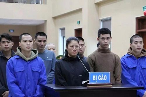 Xét xử 12 bị cáo trong đường dây lừa đảo xuyên quốc gia