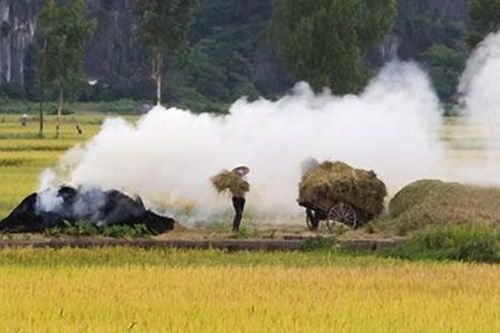 Ngày đông nhớ khói