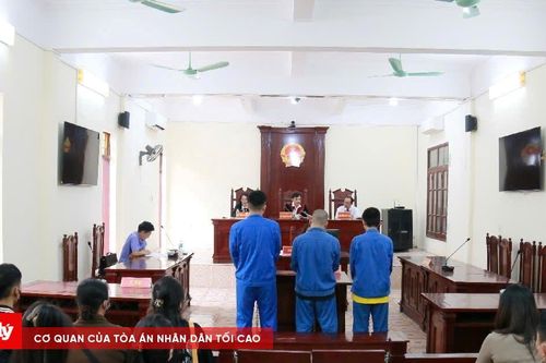 Xét xử nhóm đối tượng tổ chức sử dụng ma túy