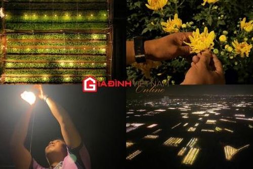 Nông dân Tây Tựu - Hà Nội chong đèn xuyên đêm chăm hoa Tết