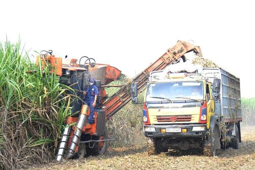 Thu hoạch mía bằng máy đạt công suất 100 tấn/ngày ở Tân Kỳ