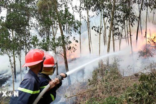 800 cán bộ, chiến sỹ tham gia diễn tập phòng cháy, chữa cháy rừng cấp quốc gia