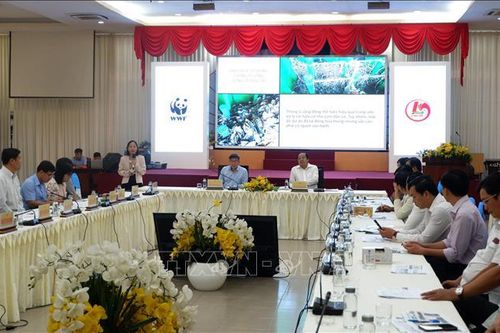 Hiệu quả bước đầu từ thí điểm phân loại rác tại nguồn ở khu vực nông thôn