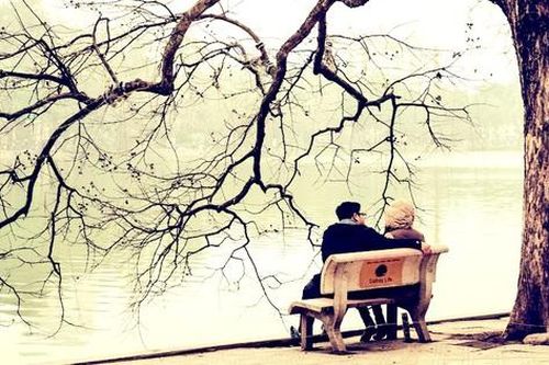 Nhịp bước mùa đông