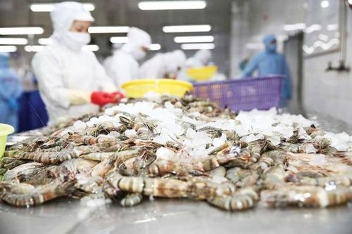 Giải pháp ứng phó lừa đảo trong giao dịch thương mại tại thị trường Hoa Kỳ