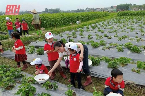 Sản xuất nông nghiệp thân thiện với môi trường