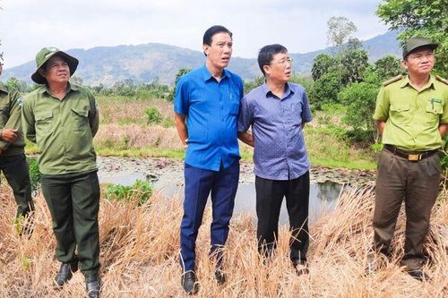 Tăng cường bảo vệ, phát triển rừng bền vững