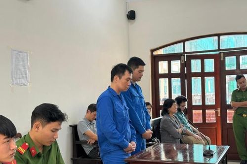 Giảm 6 tháng tù cho nguyên Phó giám đốc Công ty TNHH Thành Bưởi