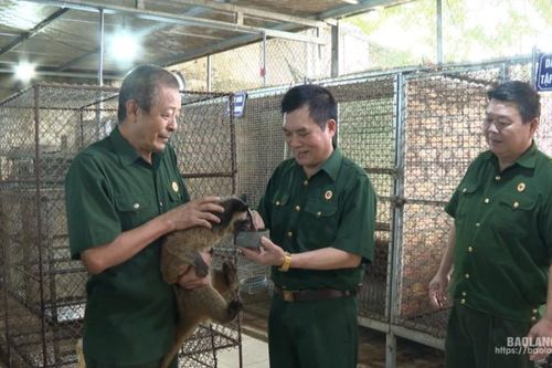 Hội Cựu chiến binh các cấp: Đổi mới hoạt động, xây dựng tổ chức hội vững mạnh