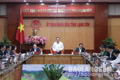 UBND tỉnh họp thường kỳ tháng 12 (kỳ 1): Thảo luận và quyết định 5 nội dung quan trọng