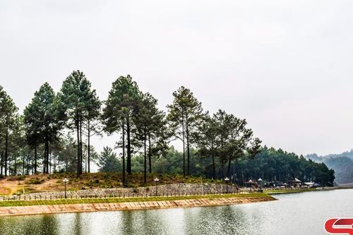 Mộc Châu bốn mùa yêu thương