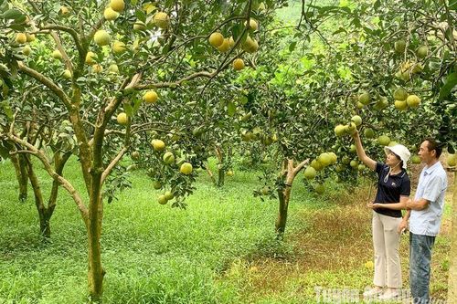 Nước rút về đích nông thôn mới
